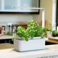 Hydroponic Indoor Herb Garden